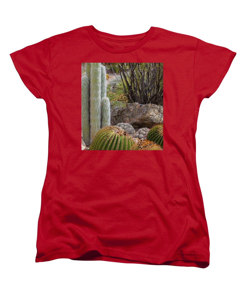 Cacti III Closeup - Women's T-Shirt (Standard Fit)