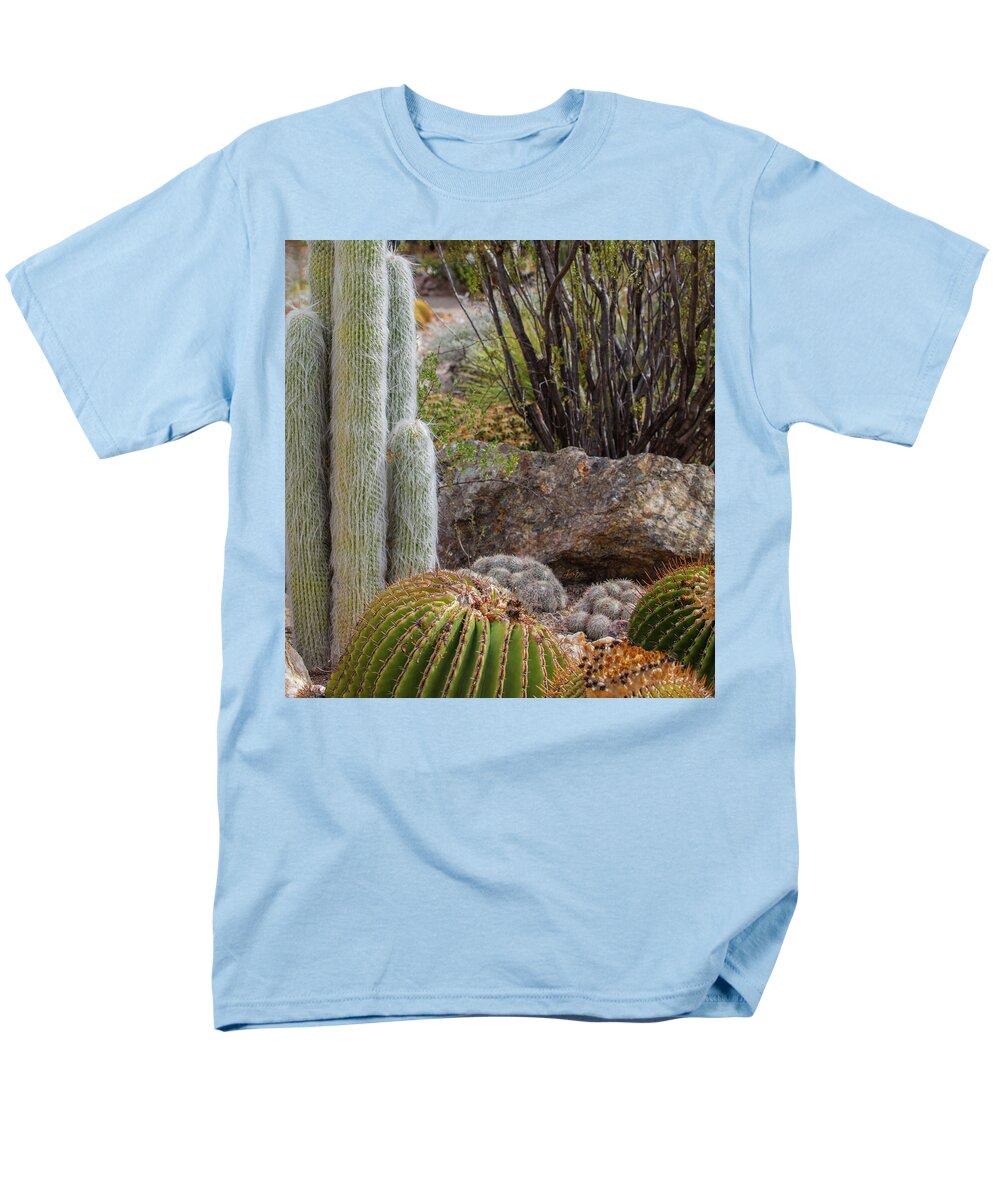 Cacti III Closeup - Men's T-Shirt  (Regular Fit)