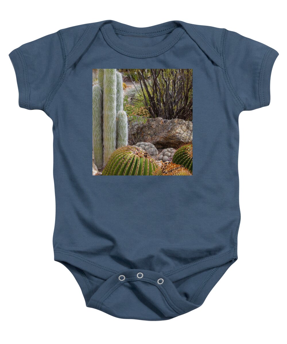 Cacti III Closeup - Baby Onesie