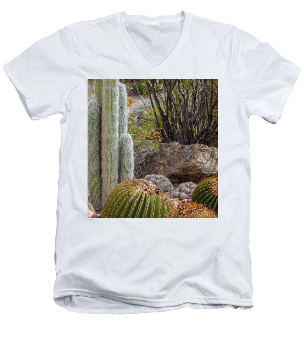 Cacti III Closeup - Men's V-Neck T-Shirt