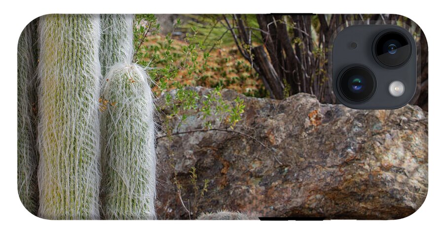 Cacti III Closeup - Phone Case