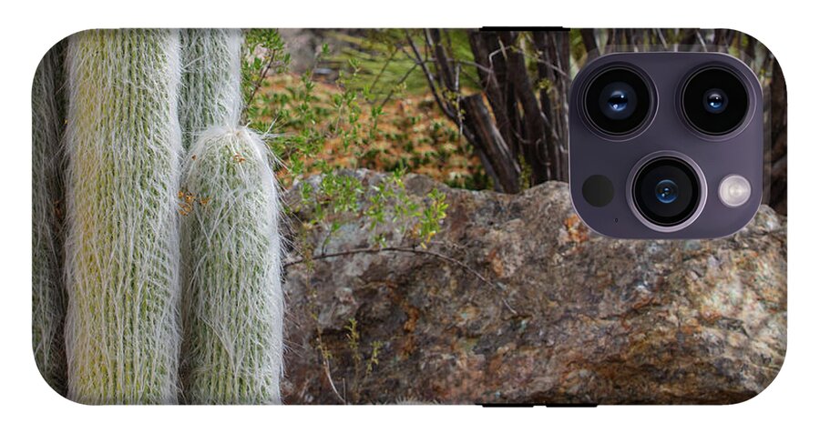 Cacti III Closeup - Phone Case
