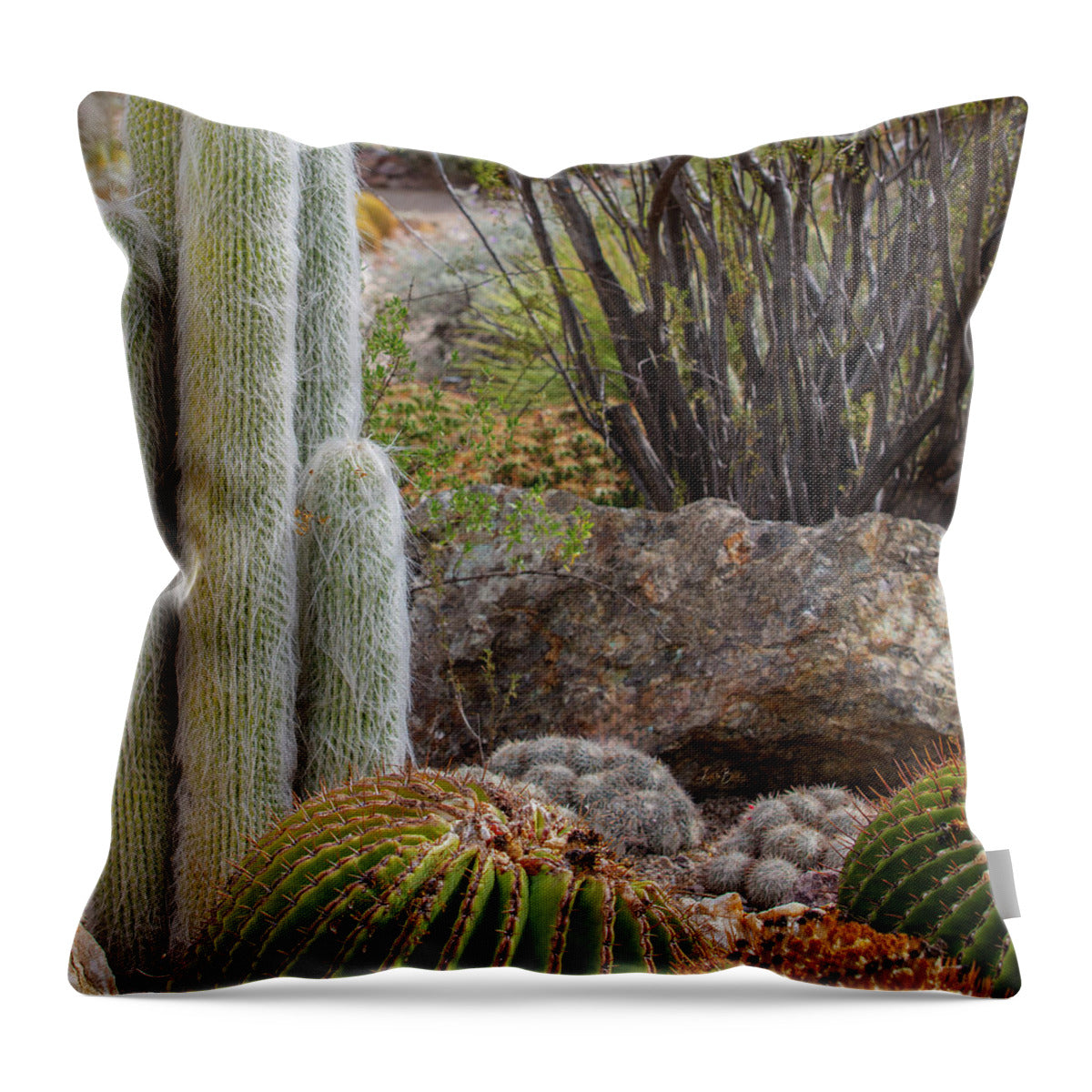 Cacti III Closeup - Throw Pillow