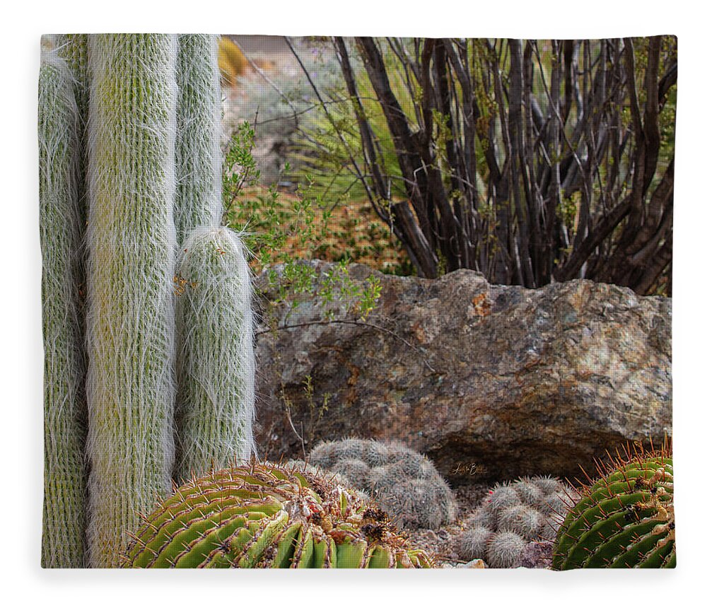 Cacti III Closeup - Blanket