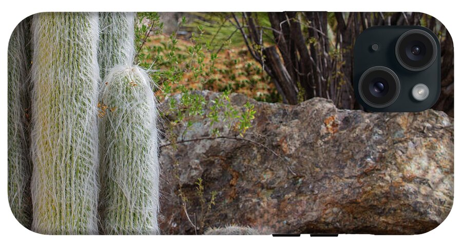 Cacti III Closeup - Phone Case