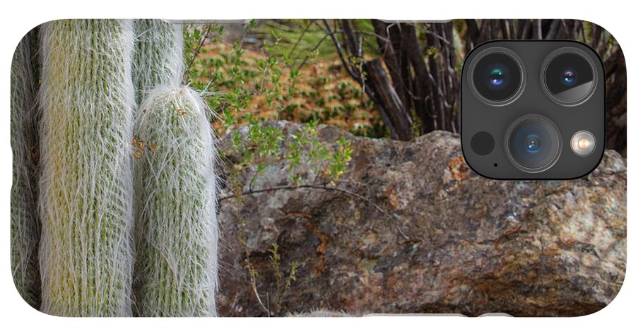 Cacti III Closeup - Phone Case