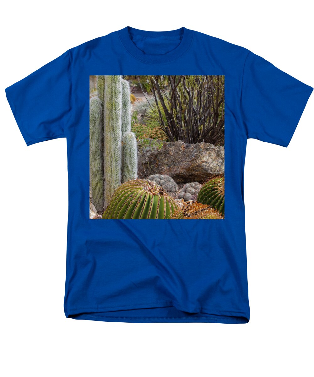 Cacti III Closeup - Men's T-Shirt  (Regular Fit)