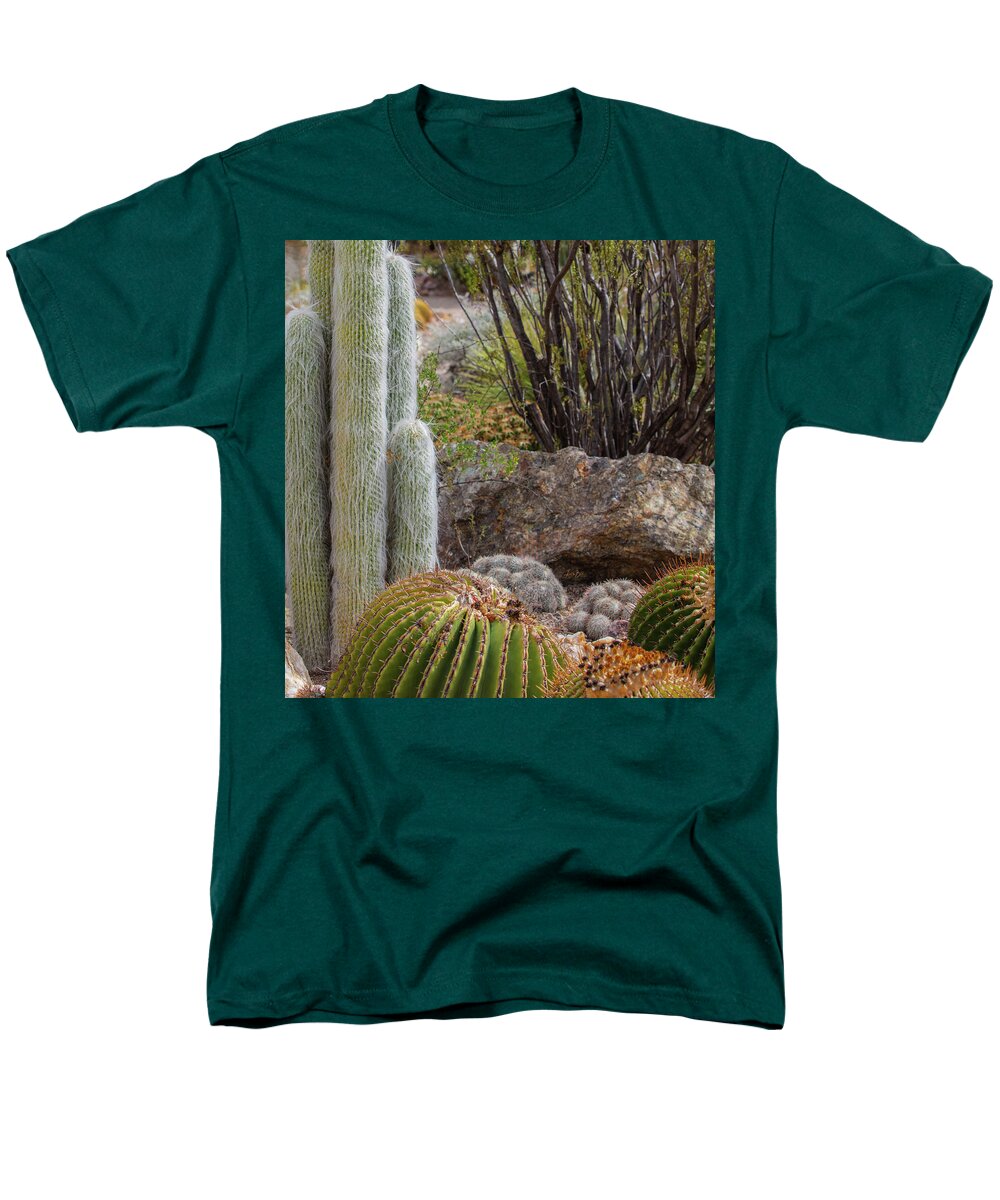 Cacti III Closeup - Men's T-Shirt  (Regular Fit)