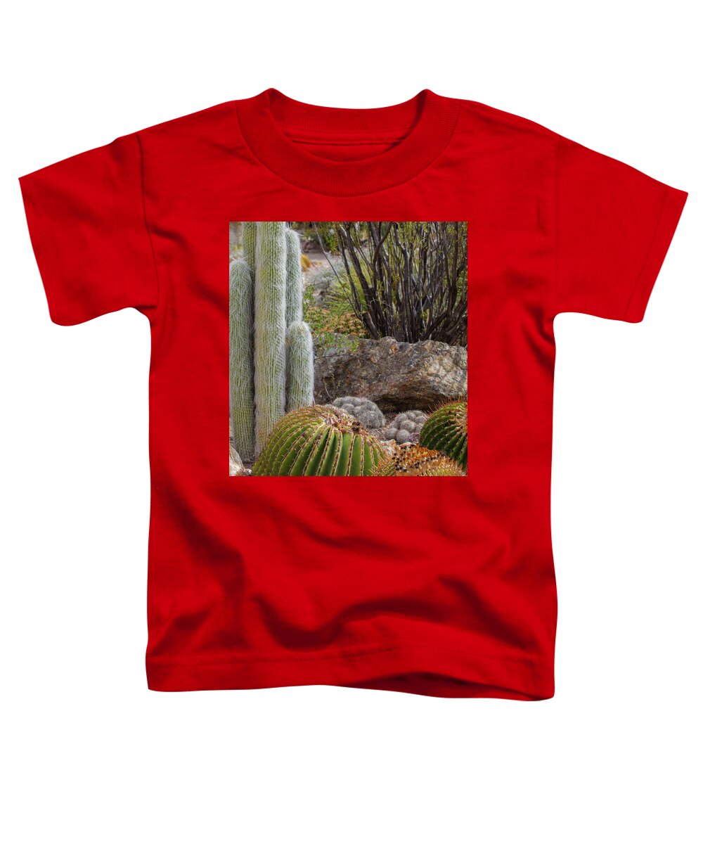 Cacti III Closeup - Toddler T-Shirt