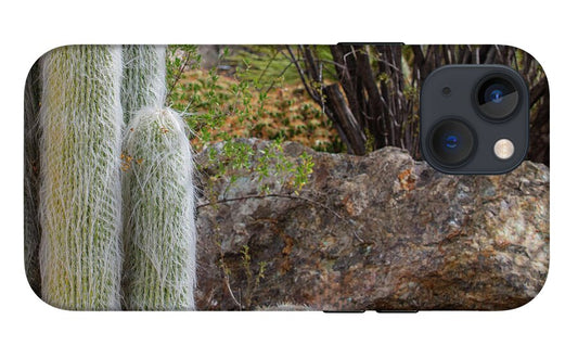 Cacti III Closeup - Phone Case