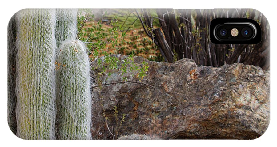 Cacti III Closeup - Phone Case