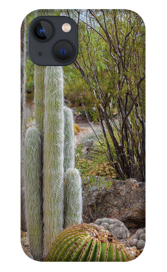 Cacti III - Phone Case