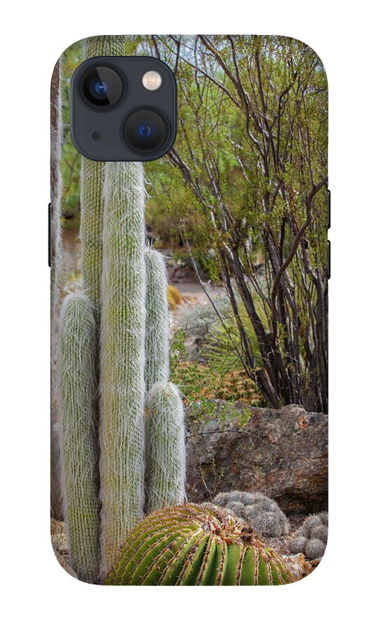 Cacti III - Phone Case