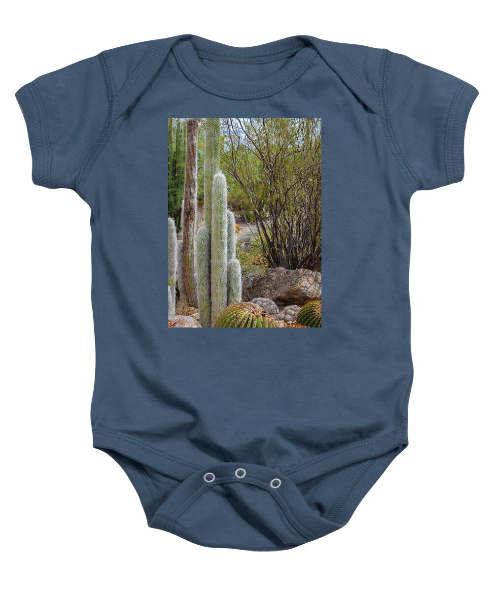 Cacti III - Baby Onesie