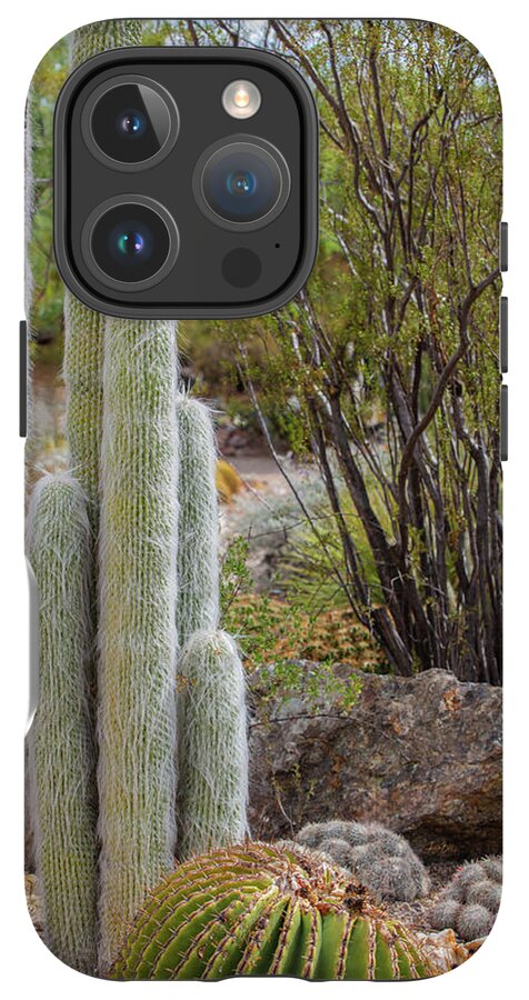 Cacti III - Phone Case