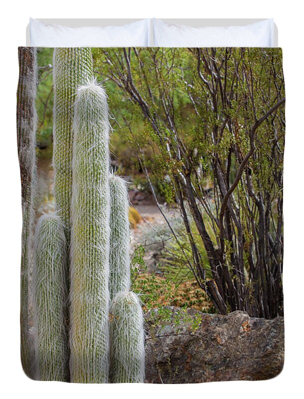 Cacti III - Duvet Cover