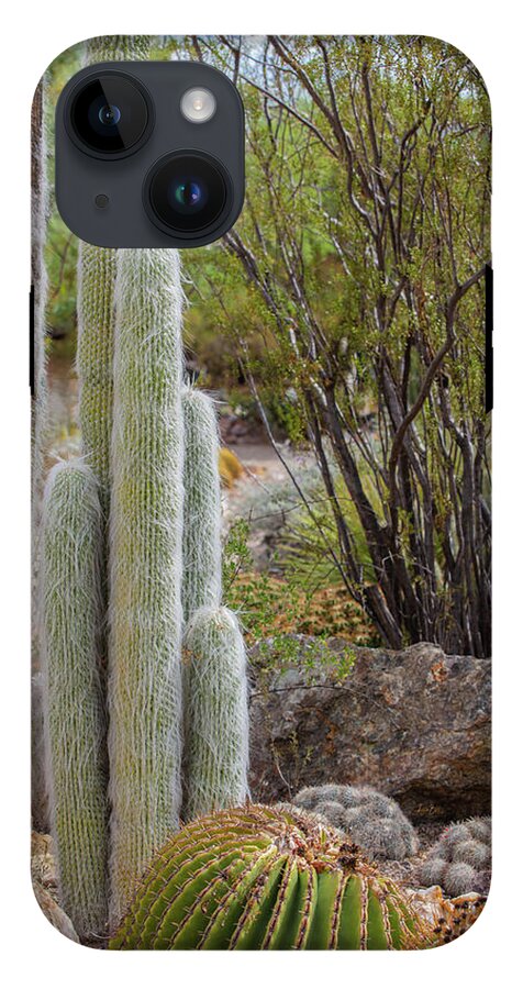 Cacti III - Phone Case