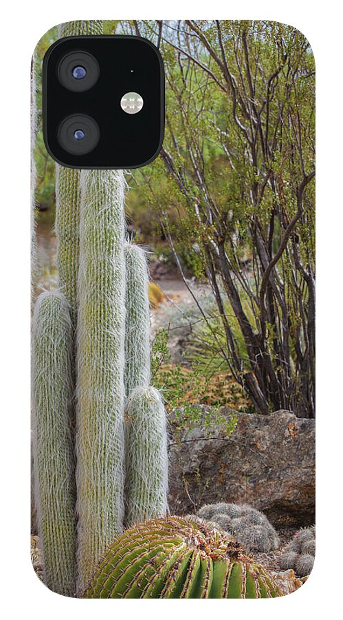 Cacti III - Phone Case