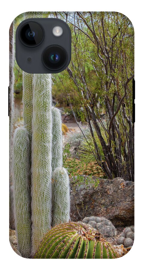 Cacti III - Phone Case