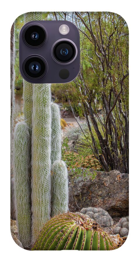 Cacti III - Phone Case
