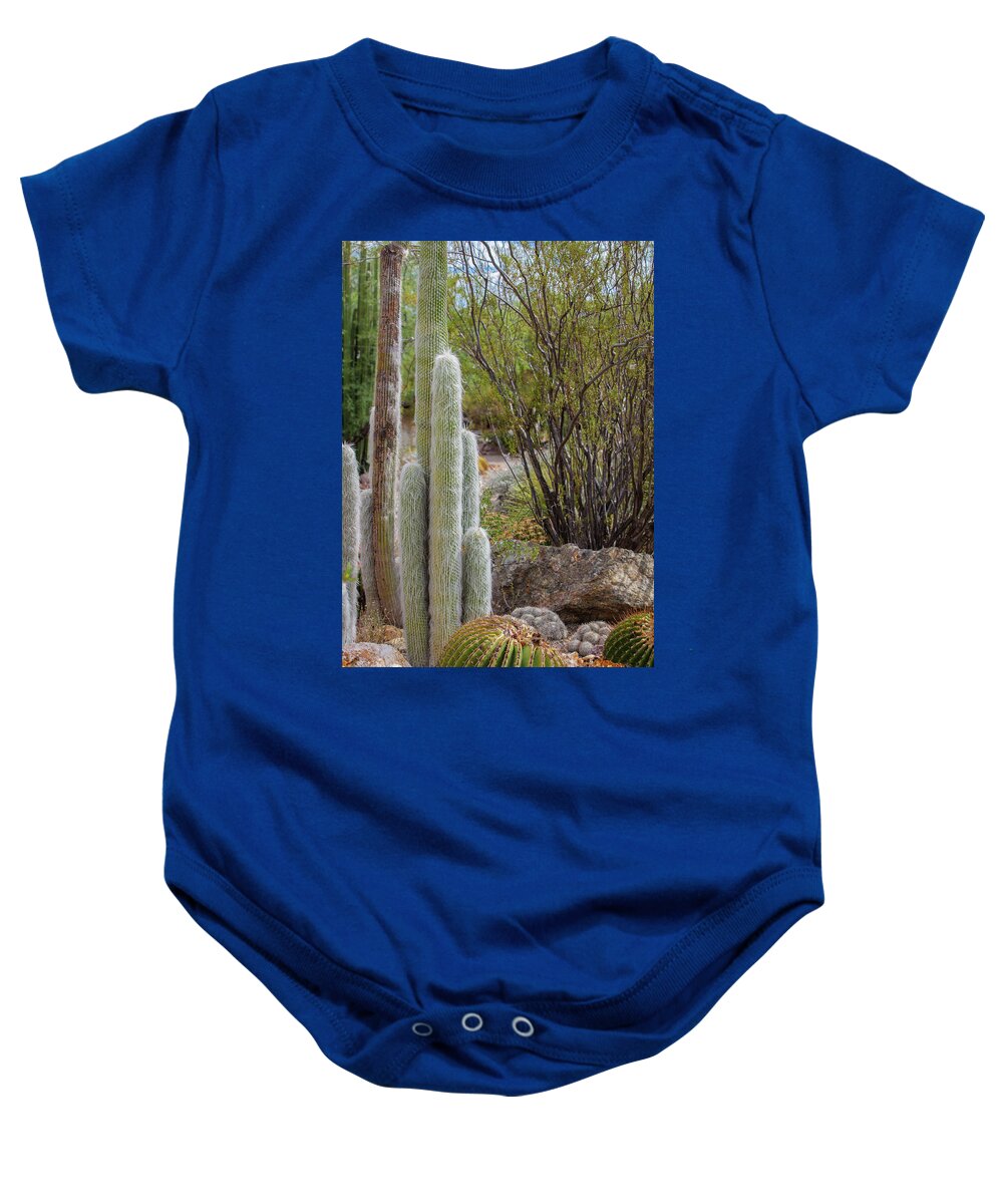 Cacti III - Baby Onesie