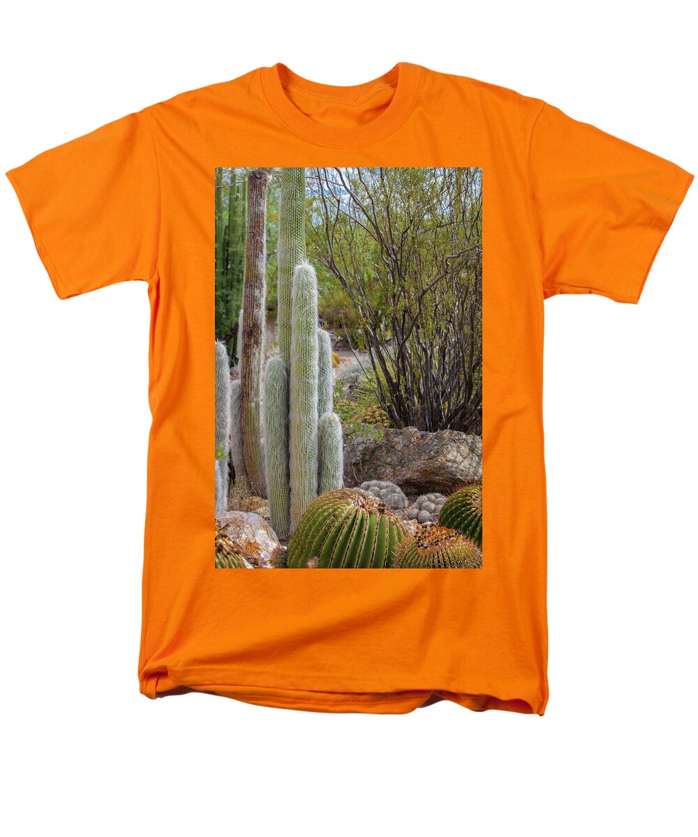 Cacti III - Men's T-Shirt  (Regular Fit)