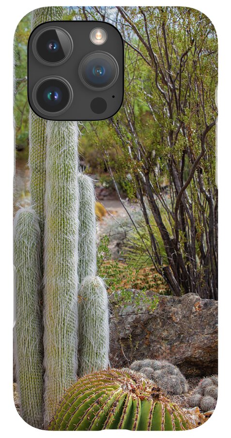 Cacti III - Phone Case