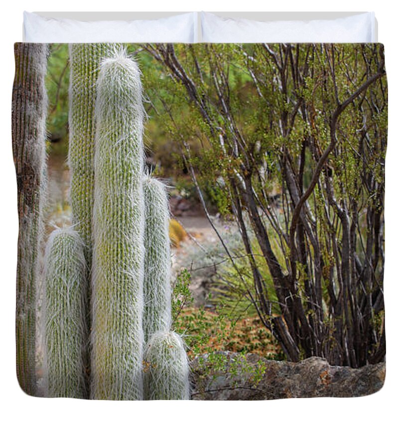 Cacti III - Duvet Cover