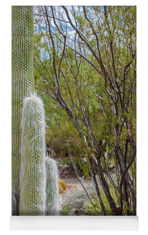 Cacti III - Yoga Mat