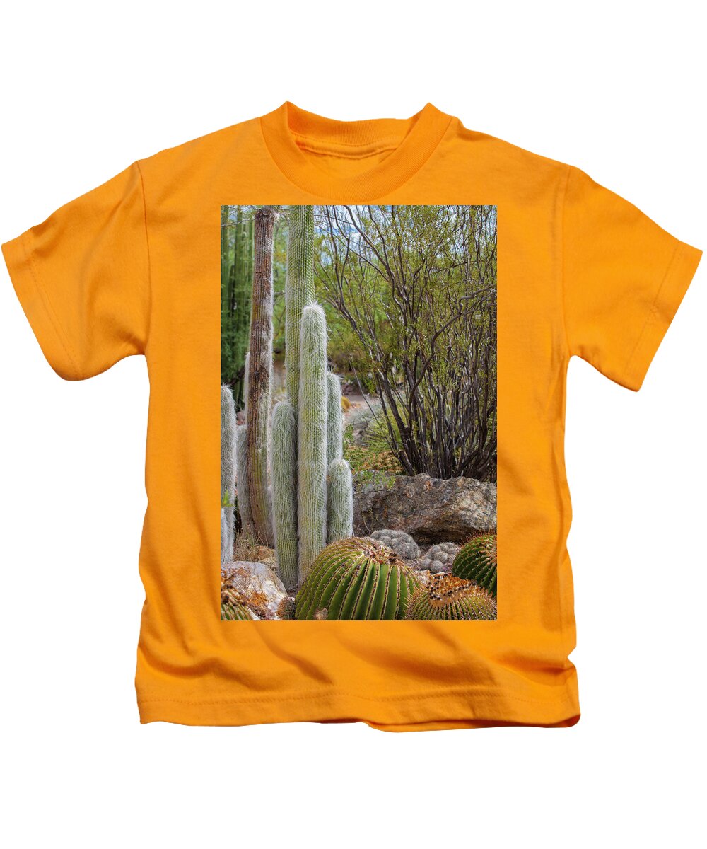 Cacti III - Kids T-Shirt