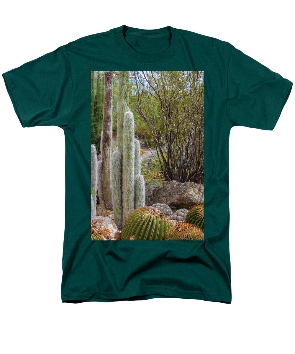Cacti III - Men's T-Shirt  (Regular Fit)