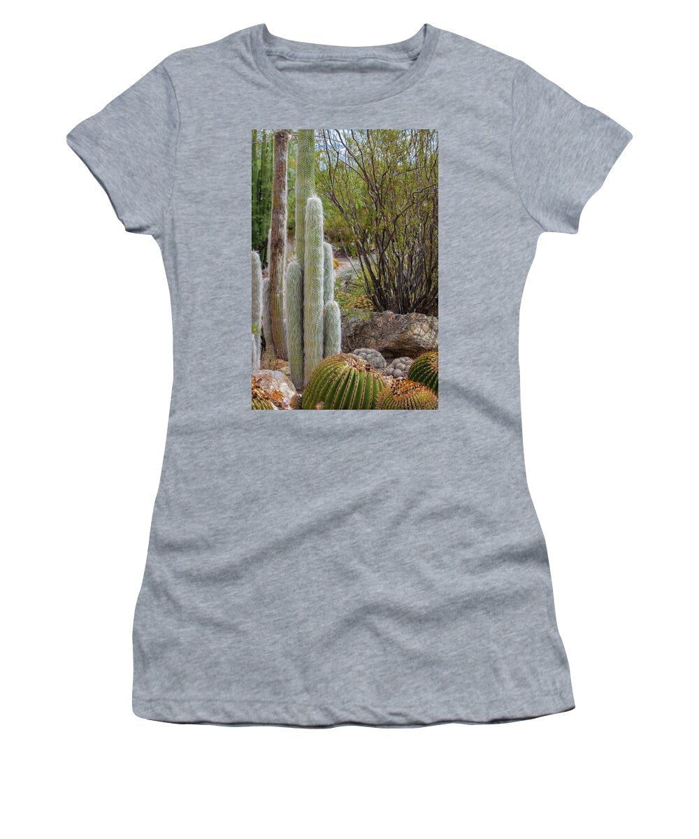 Cacti III - Women's T-Shirt