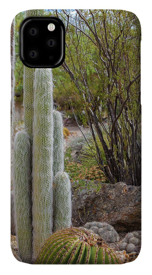 Cacti III - Phone Case