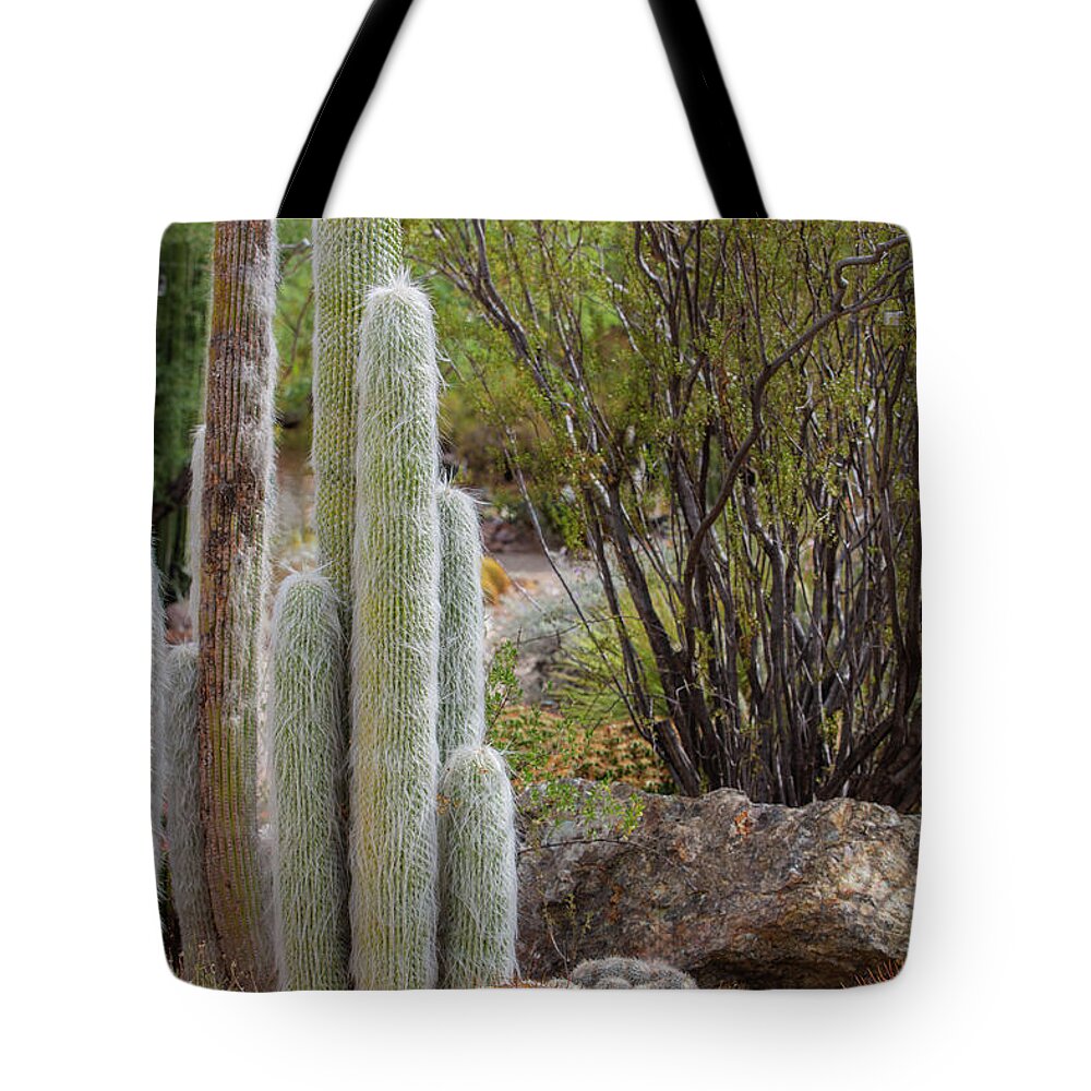 Cacti III - Tote Bag