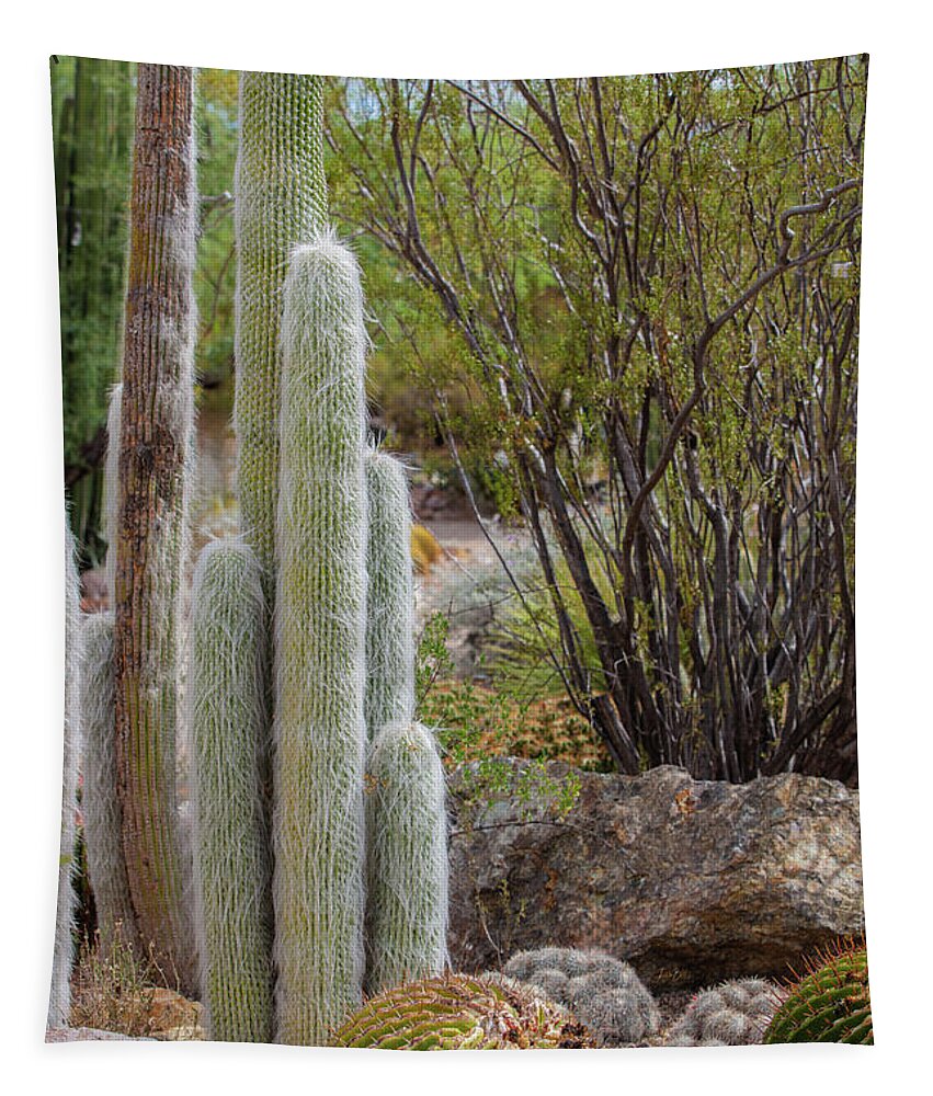 Cacti III - Tapestry