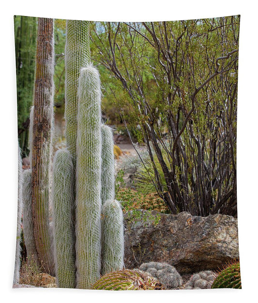 Cacti III - Tapestry