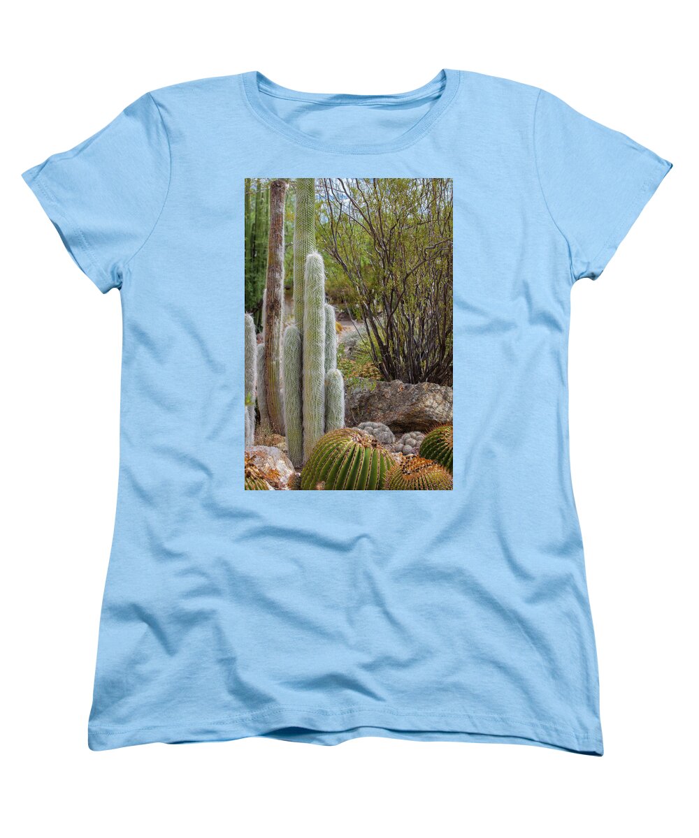Cacti III - Women's T-Shirt (Standard Fit)