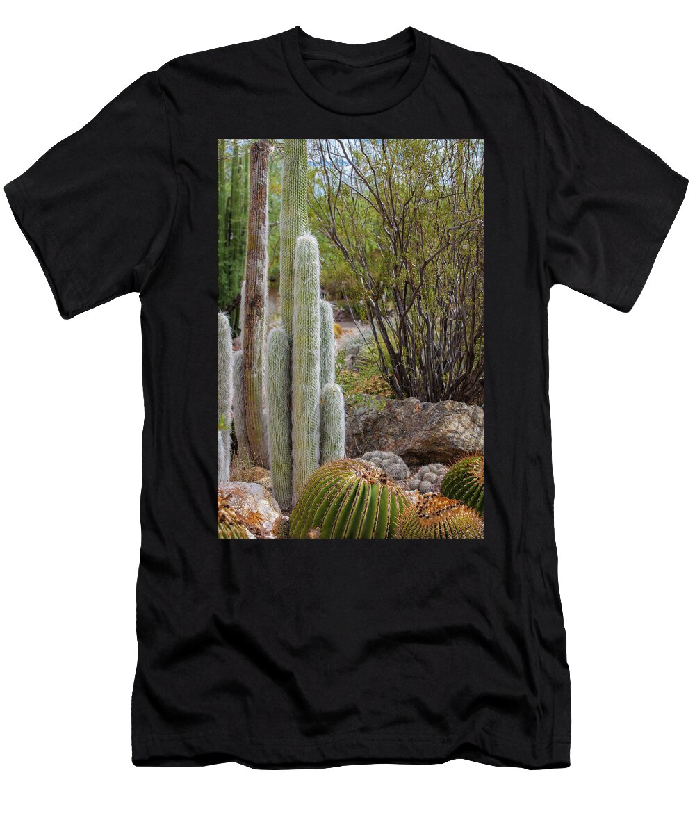Cacti III - T-Shirt