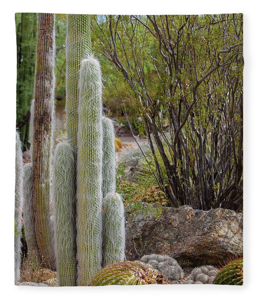 Cacti III - Blanket