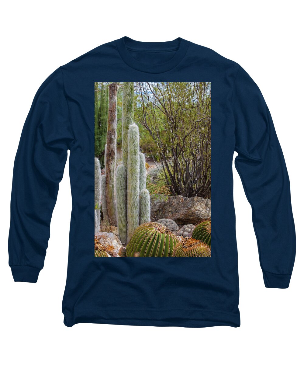 Cacti III - Long Sleeve T-Shirt