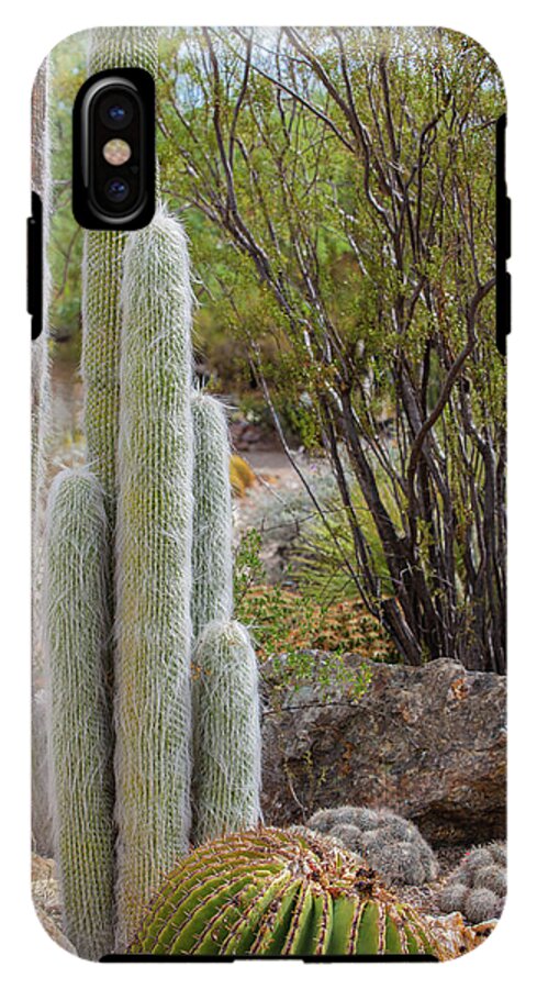 Cacti III - Phone Case