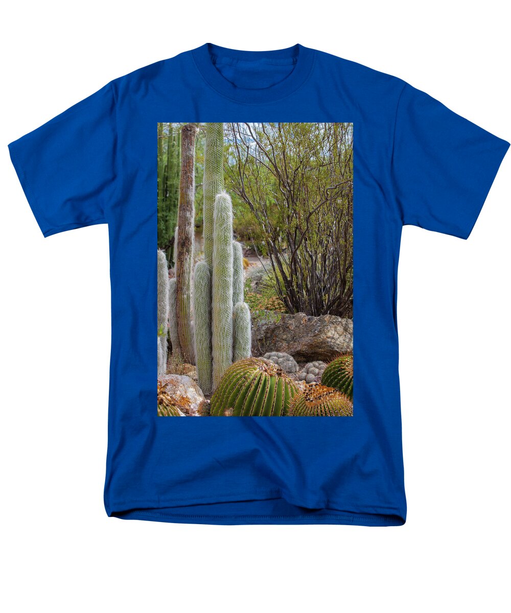 Cacti III - Men's T-Shirt  (Regular Fit)