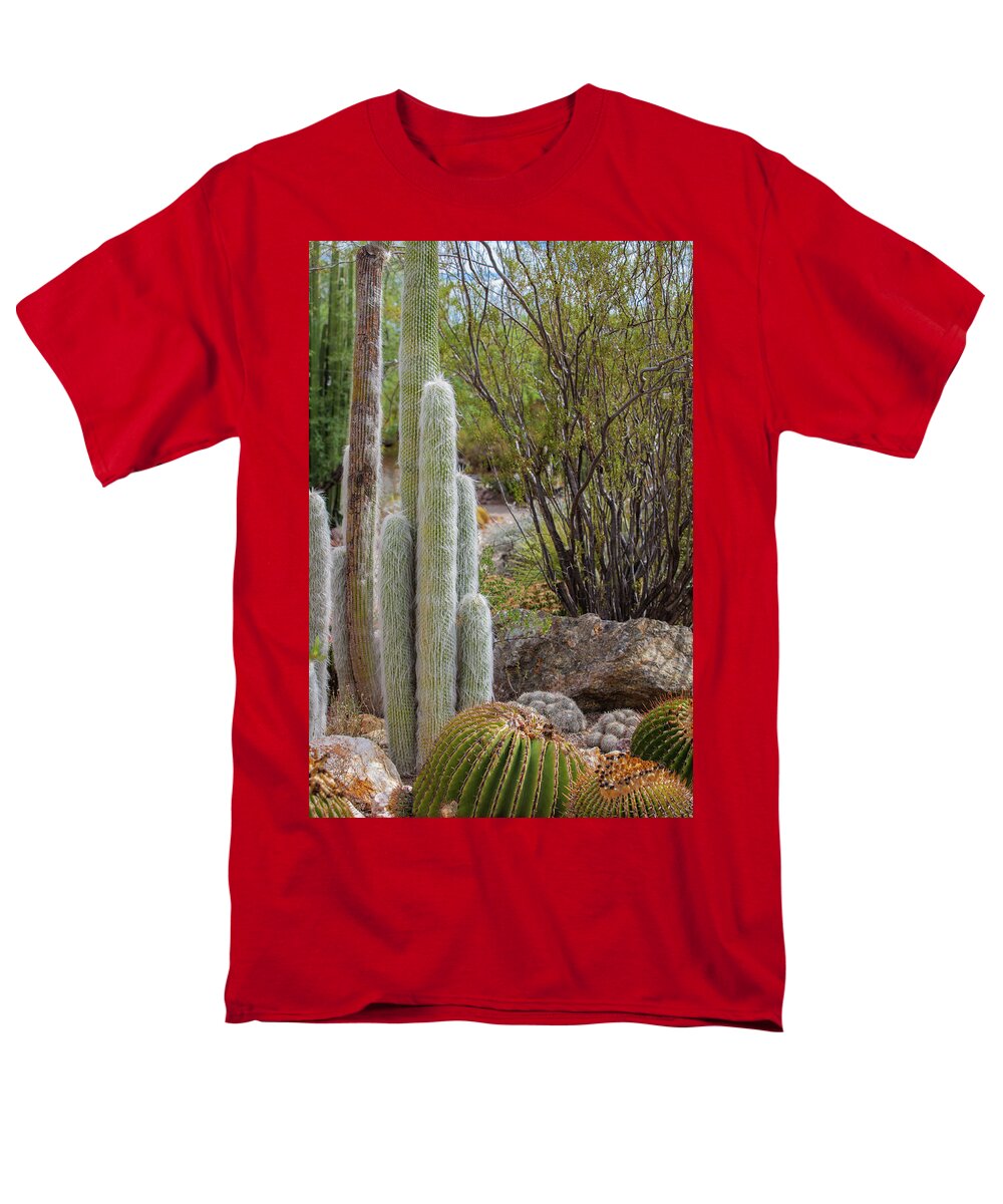 Cacti III - Men's T-Shirt  (Regular Fit)