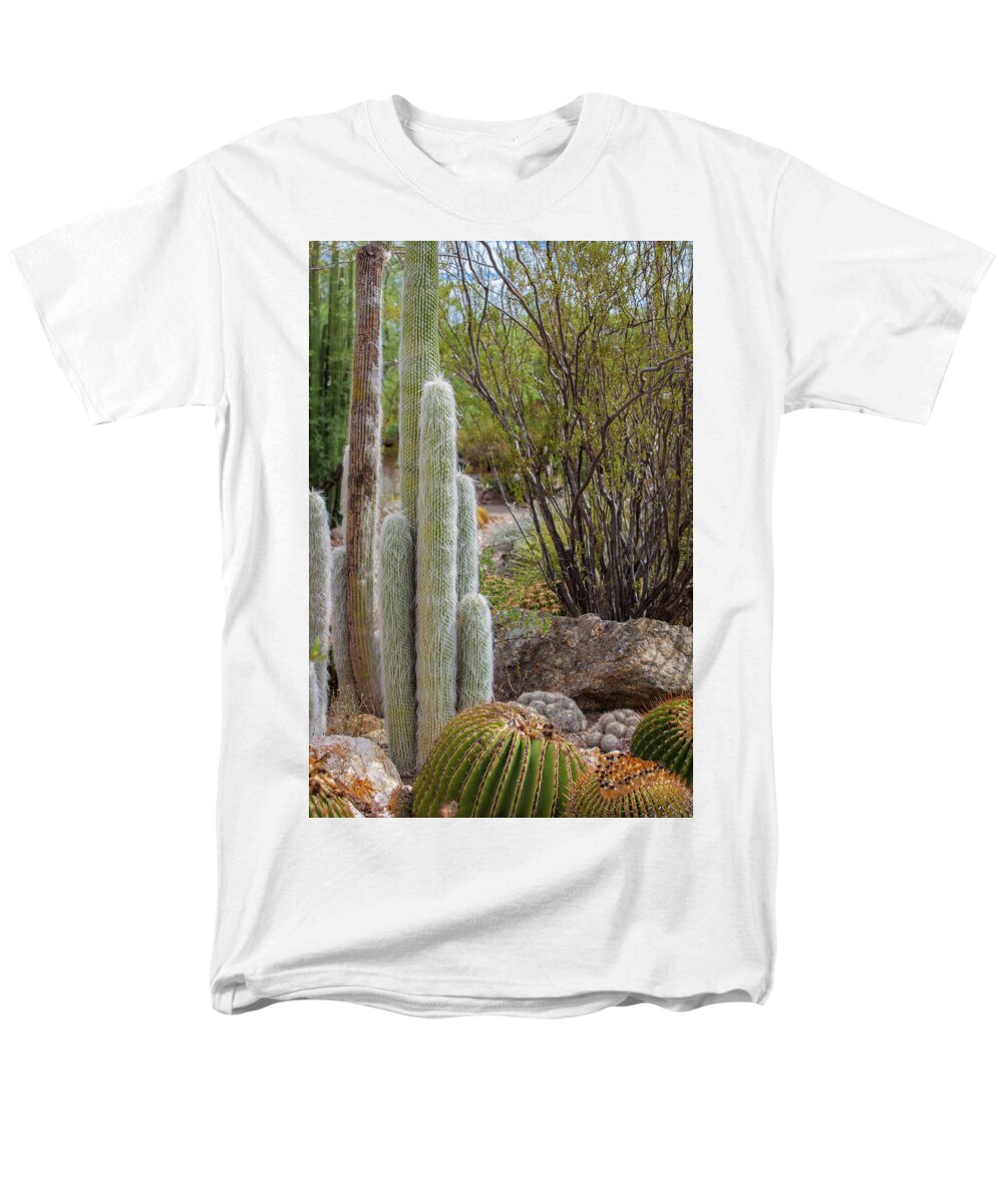 Cacti III - Men's T-Shirt  (Regular Fit)