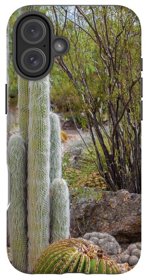 Cacti III - Phone Case