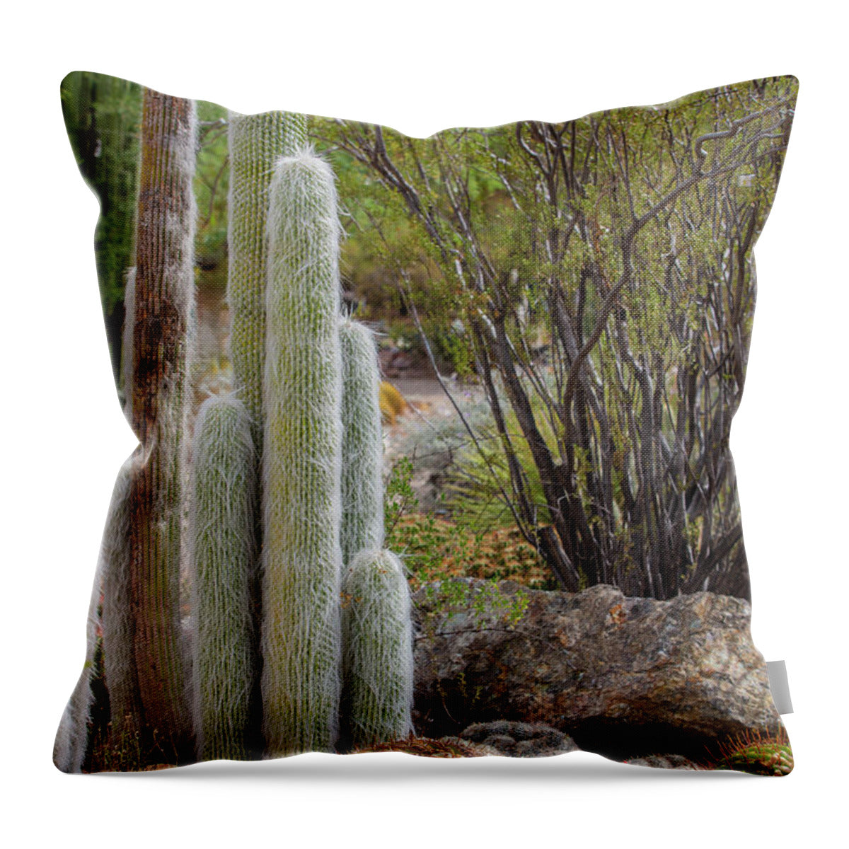 Cacti III - Throw Pillow