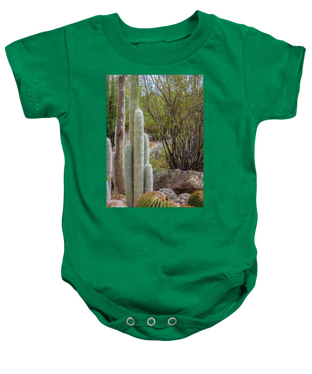 Cacti III - Baby Onesie