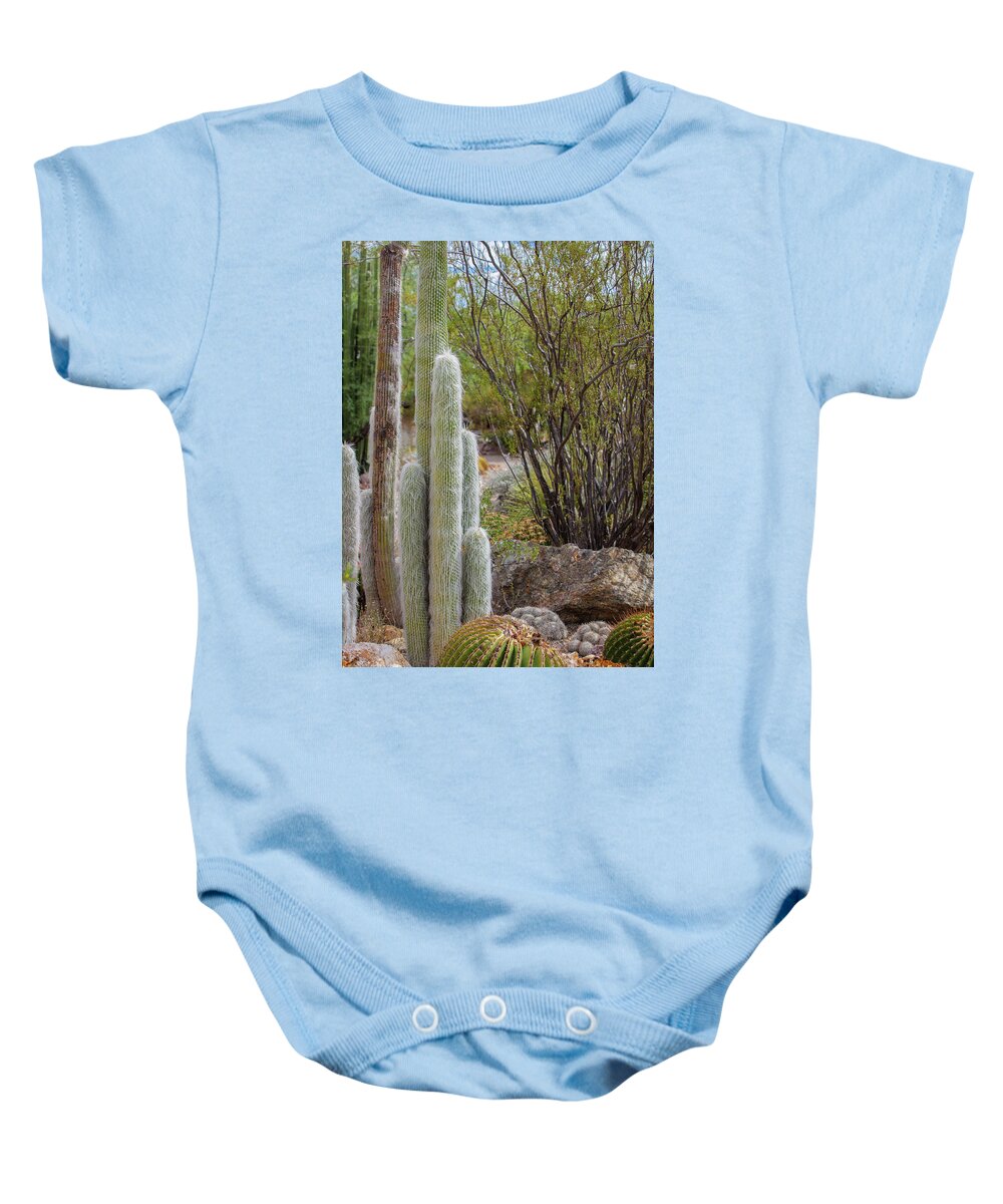 Cacti III - Baby Onesie