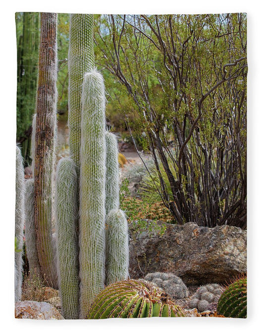 Cacti III - Blanket