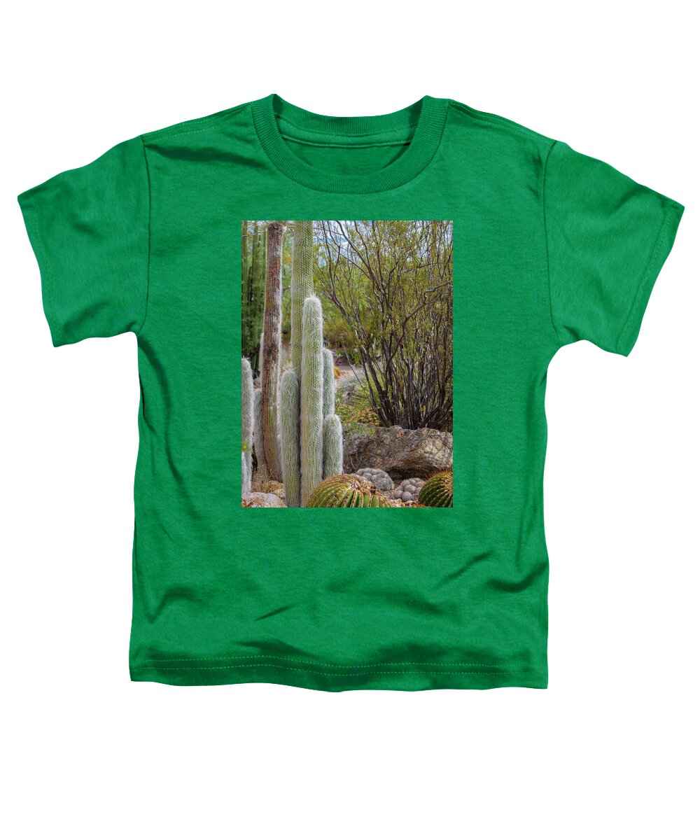 Cacti III - Toddler T-Shirt